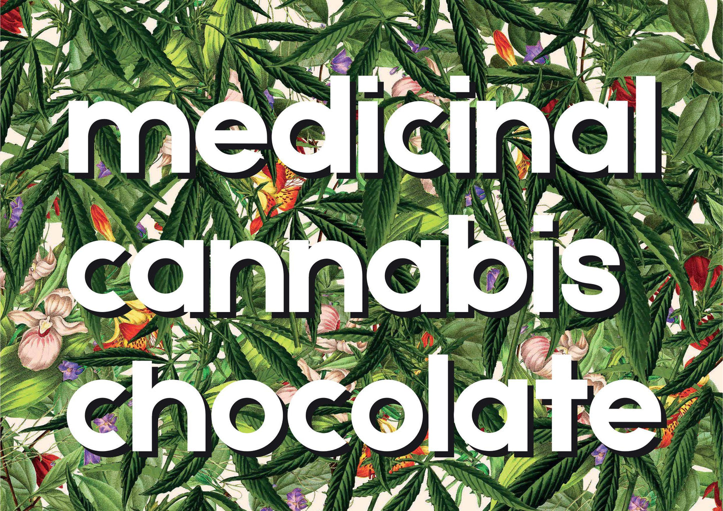 85% Hemp Seeds Ancestral #TreetoBar Superfood Chocolate 60grs